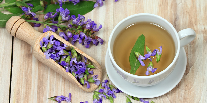 Wie wirkt Salvia divinorum? Wie wirkt Salvia divinorum?