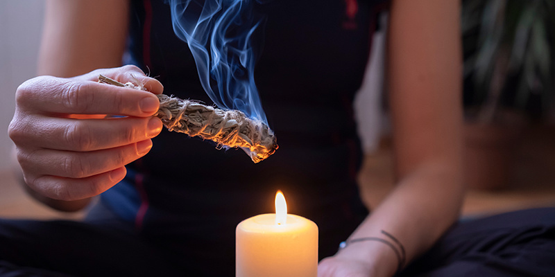 Wo man Salvia divinorum kaufen kann und Vorsichtsmaßnahmen Wo man Salvia divinorum kaufen kann und Vorsichtsmaßnahmen