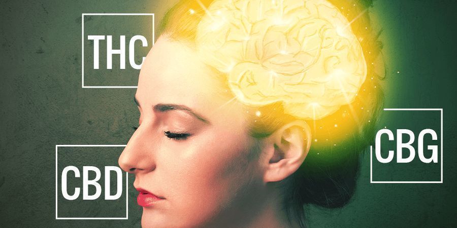 Cannabinoide Cannabinoide