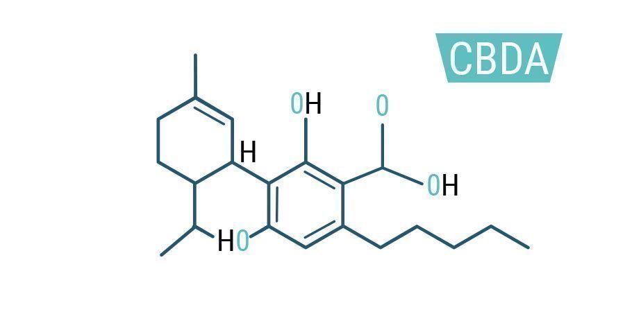 CBDA CBDA