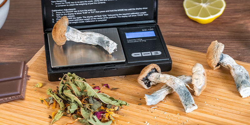 Spielt Es Eine Rolle, Wie Man Zauberpilze Konsumiert? Spielt Es Eine Rolle, Wie Man Zauberpilze Konsumiert?