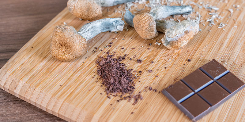 Zauberpilz-Edibles Essen Zauberpilz-Edibles Essen