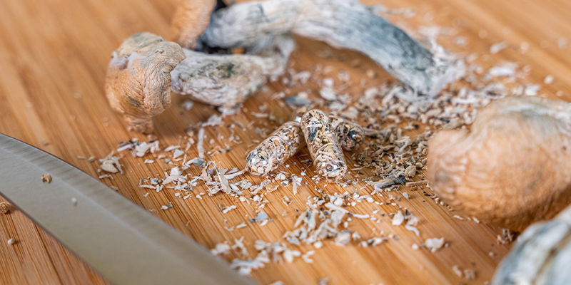 Zauberpilzkapseln Einnehmen Zauberpilzkapseln Einnehmen