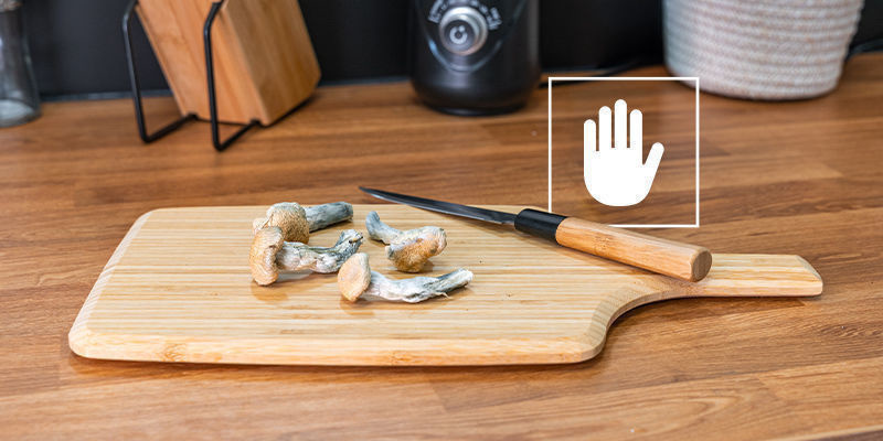 Wann Sollte Man Keine Zauberpilze Konsumieren? Wann Sollte Man Keine Zauberpilze Konsumieren?