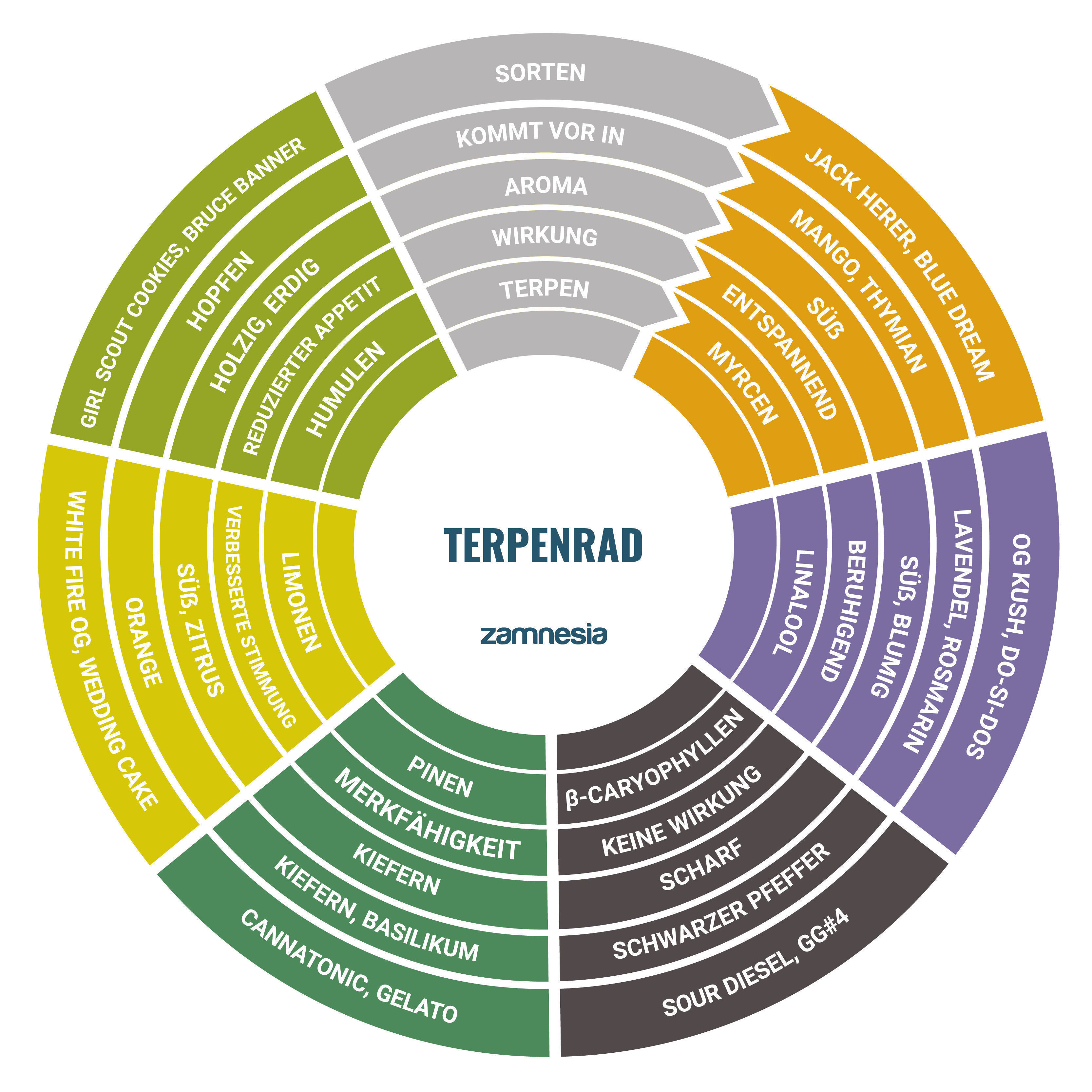 Terpenrad Terpenrad