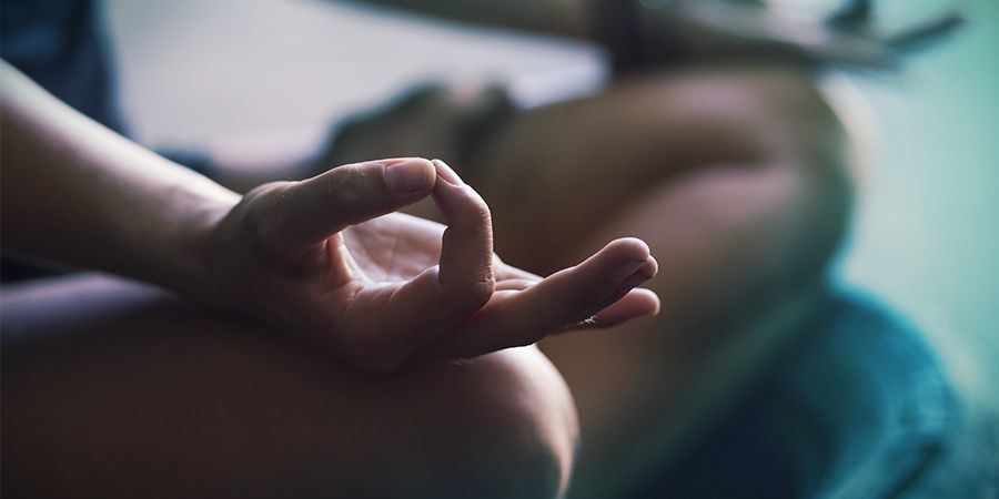 DIE TATSÄCHLICHE BEDROHUNG DURCH PILZE