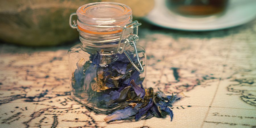 Blauer Lotus: Fazit Blauer Lotus: Fazit