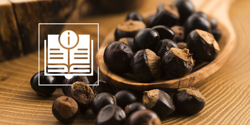 Alles, Was Du Über Guarana Wissen Musst