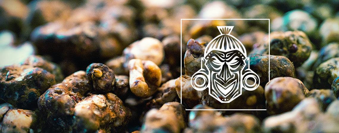 Wie Man Die Zamnesia Freiland-sets Verwendet Wie Man Die Zamnesia Freiland-sets Verwendet