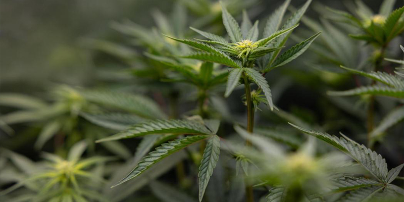 Tipps und Tricks f&uuml;r bessere LST-Ergebnisse