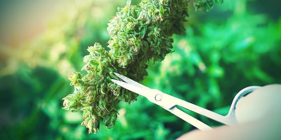 Die Wasser-aushärtung - Die Schritte DIE WASSER-AUSHÄRTUNG - DIE SCHRITTE