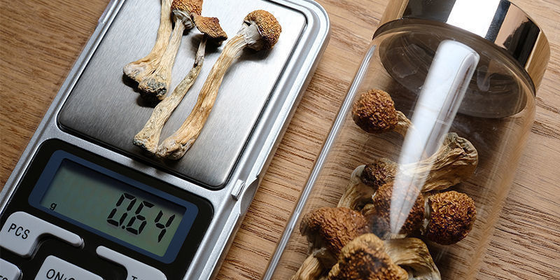 Beispiele Für Einen Mikrodosierungsplan Beispiele Für Einen Mikrodosierungsplan