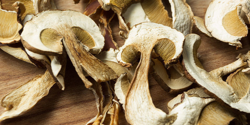 Microdosing Von Psychedelischen Und Nicht-Psychedelischen Pilzen Microdosing Von Psychedelischen Und Nicht-Psychedelischen Pilzen