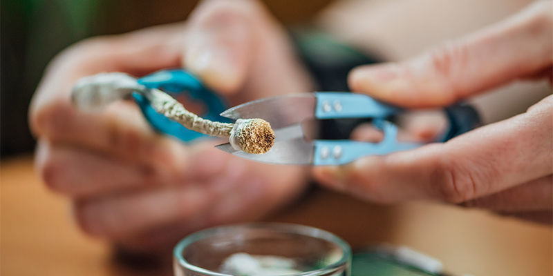 Was Ist Microdosing? Was Ist Microdosing?