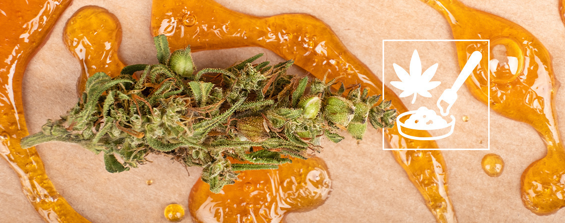 Der ultimative Guide zu Cannabis-Konzentraten