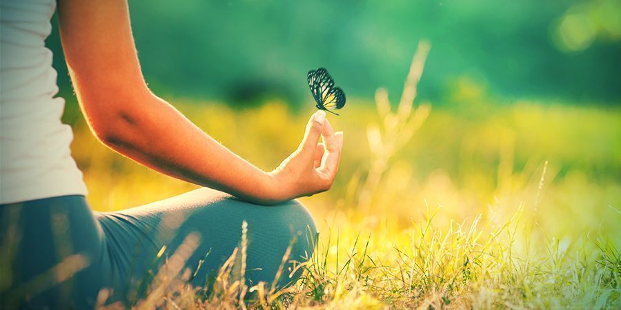 Welche Effekte Besitzt Der Weiße Lotus? WELCHE EFFEKTE BESITZT DER WEIẞE LOTUS?