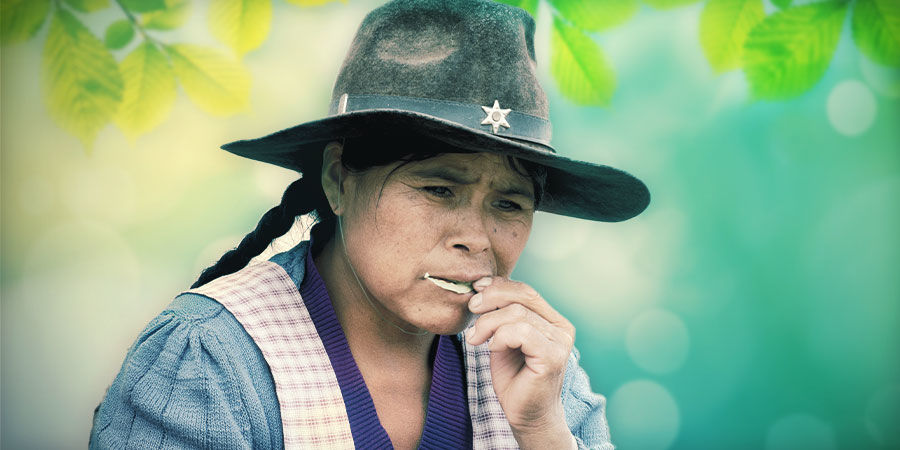 Kanna: Sublingual/Kauen Kanna: Sublingual/Kauen