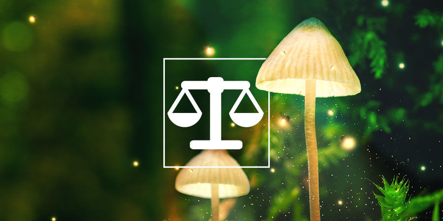 Wie Man Psychedelika Sicher Wiegt Und Dosiert Wie Man Psychedelika Sicher Wiegt Und Dosiert