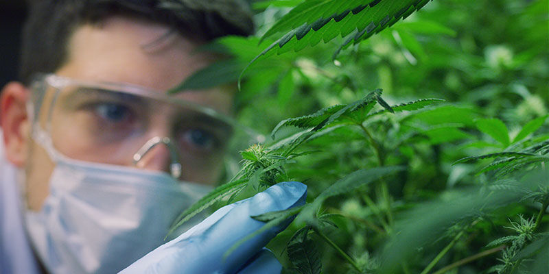 Sich Selbst Vor Verletzungen Schützen Sich selbst vor Verletzungen schützen