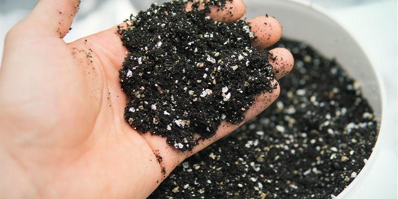 Tipps Für Das Sauberhalten Eines Cannabis-Anbauraums Tipps für das Sauberhalten eines Cannabis-Anbauraums