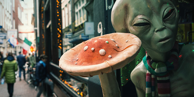 Die Geschichte der Smartshops