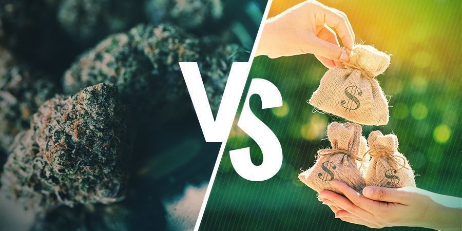 Hydroponischer Anbau: Die Vor- Und Nachteile Hydroponischer Anbau: Die Vor- Und Nachteile