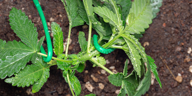 Techniken Für Anfänger Techniken für Anfänger