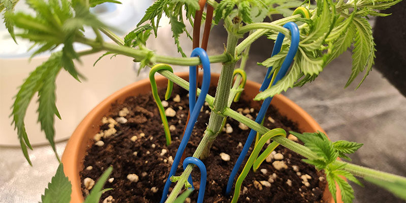 Bist Du Bereit, Dich Im Training Zu Versuchen? Bist Du bereit, Dich im Training zu versuchen?