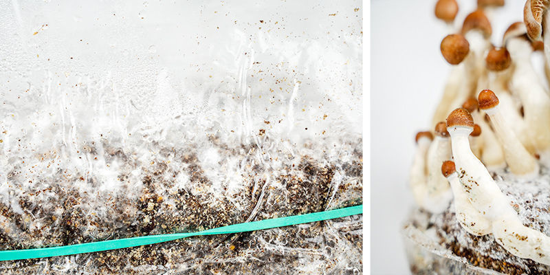 Schritt-für-Schritt-Anleitung Schritt-für-Schritt-Anleitung