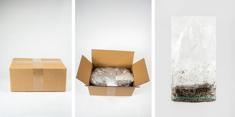 Zamnesia Ready-2-Grow Bag: Lieferumfang Zamnesia Ready-2-Grow Bag: Lieferumfang