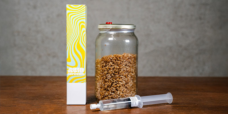 Was ist eine Flüssigkultur?