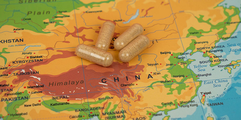 Ginkgo Biloba: Ein Uraltes Östliches Heilmittel Ginkgo biloba: Ein uraltes östliches Heilmittel