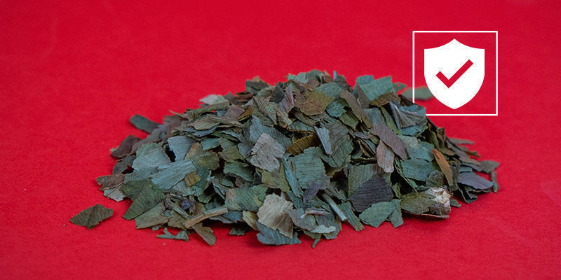 Ist Ginkgo Biloba Sicher In Der Anwendung? Ist Ginkgo biloba sicher in der Anwendung?