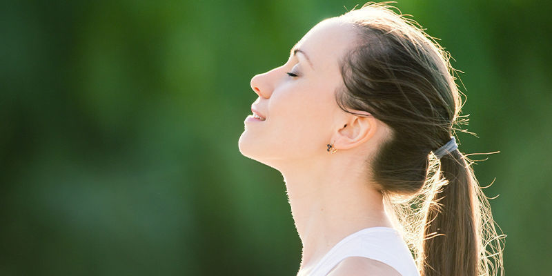 Wofür Wird Ginkgo Biloba Verwendet? Wofür wird Ginkgo biloba verwendet?