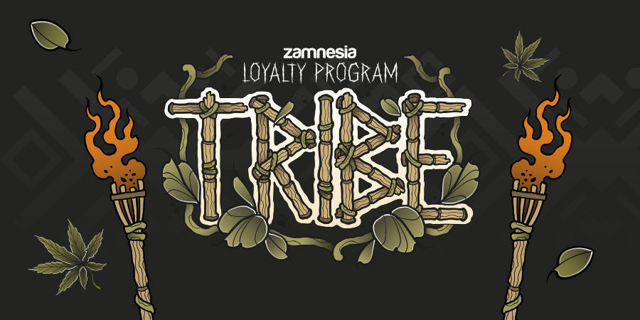 TRIBE-Loyalty-System