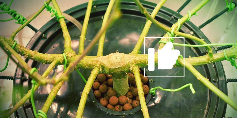 Vorteile LST: Vorteile