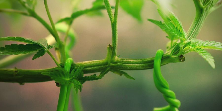 Anleitung LST: Anleitung