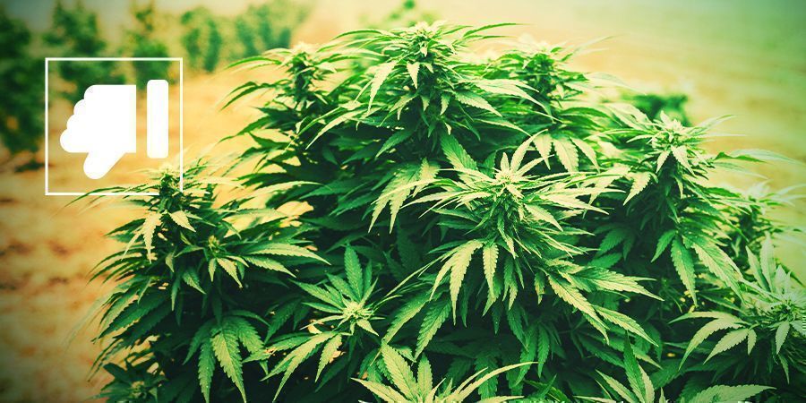 Nachteile LST: Nachteile