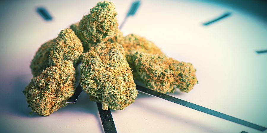 Nachteile Eines ScrOG Nachteile Eines ScrOG