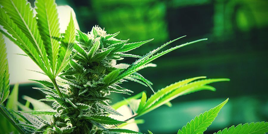 Die Anwendung Der SOG-methode Die Anwendung Der SOG-methode