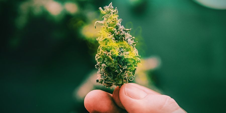 Pro Und Kontra Der Wasser-aushärtung PRO UND KONTRA DER WASSER-AUSHÄRTUNG