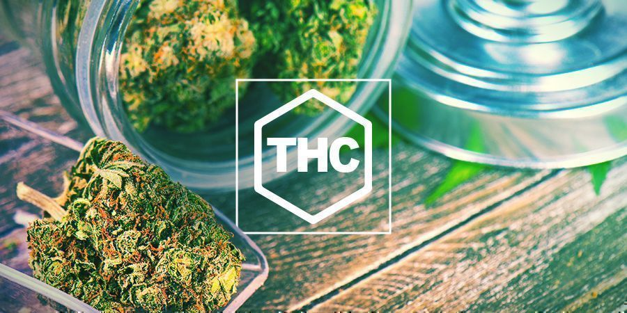 Wann Wurde THC Entdeckt? Wann Wurde THC Entdeckt?