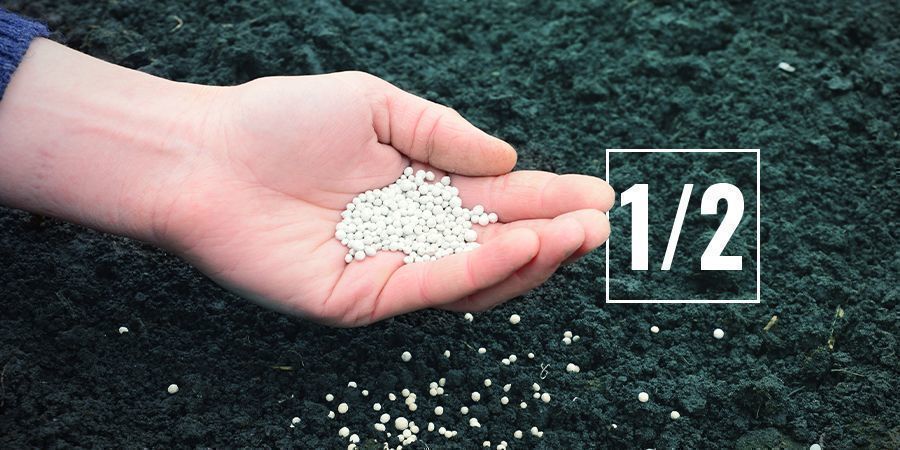 Wie Viel Nährstoffe Sollte Man Geben? Wie Viel Nährstoffe Sollte Man Geben?