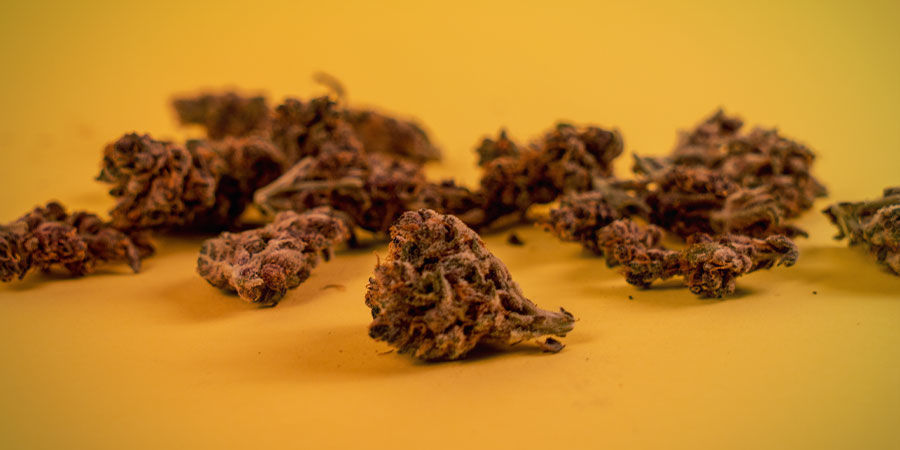 Die Besten Tipps Für Mehr Ertrag Von Autoflowers Die besten Tipps für mehr Ertrag von Autoflowers