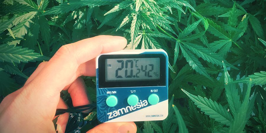 Temperatur Temperatur