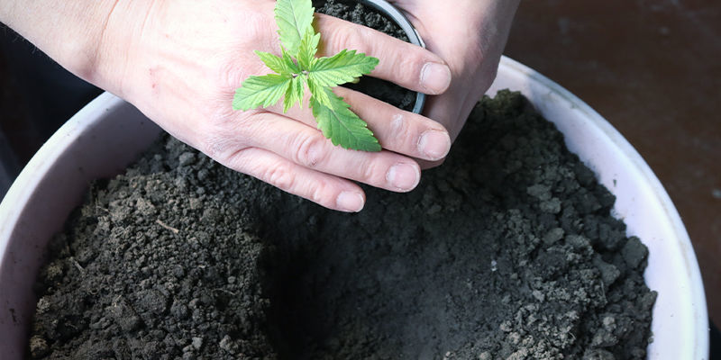 Umziehen Ins Freie (Mai) Umziehen ins Freie (Mai)