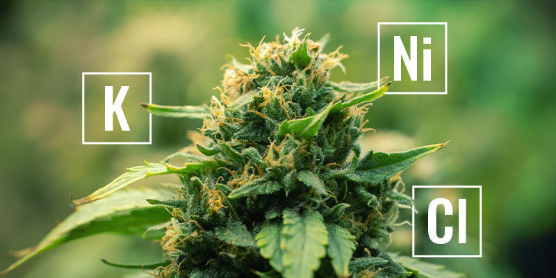 Was Sind Mobile Pflanzennährstoffe? Was sind mobile Pflanzennährstoffe?