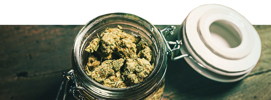 Information Über Produkte Für Die Aufbewahrung Von Gras Information Über Produkte Für Die Aufbewahrung Von Gras