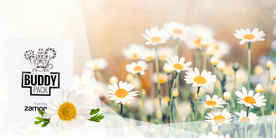 Nützliche Insekten Anziehen