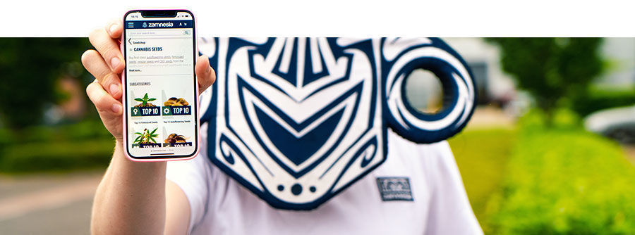 Cannabissamen Bei Zamnesia Kaufen Cannabissamen bei Zamnesia kaufen